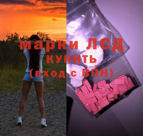 хмурый Абаза