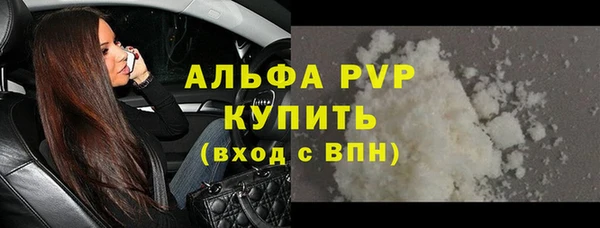 хмурый Абаза