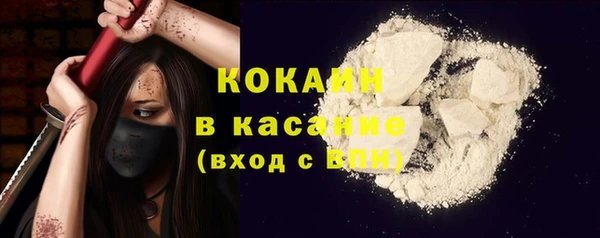 хмурый Абаза