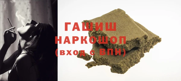 хмурый Абаза