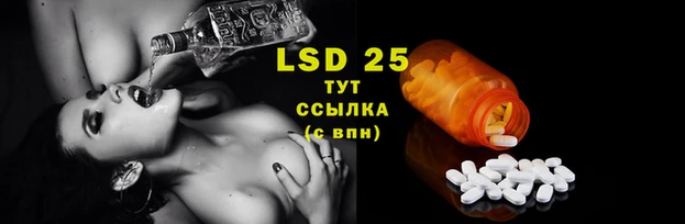 хмурый Абаза