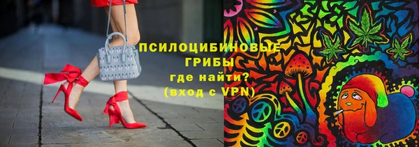 сатива Алексин