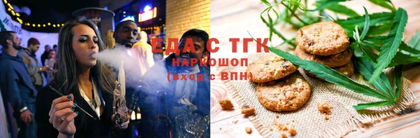 хмурый Абаза