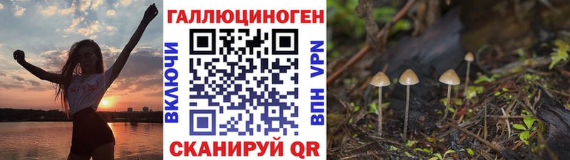 Псилоцибиновые грибы GOLDEN TEACHER  Беломорск 